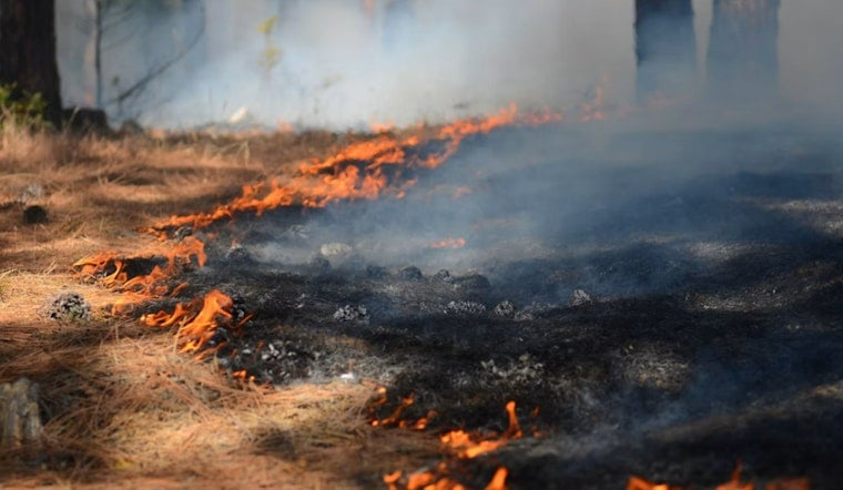 Saddle Road Wildfire Grows to 230 Acres, Highway Stays Shut Near Waimea