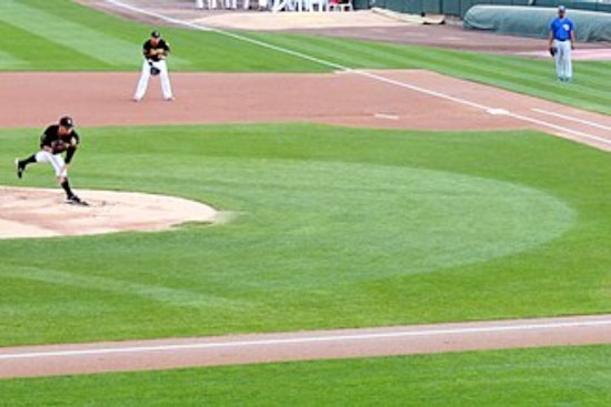Salt Lake Bees Name Corina Nelson First Female General Manager In Team History