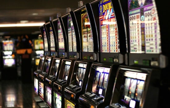 Salt River Gaming Enterprise Names First Woman CEO After 22 Years on the Job