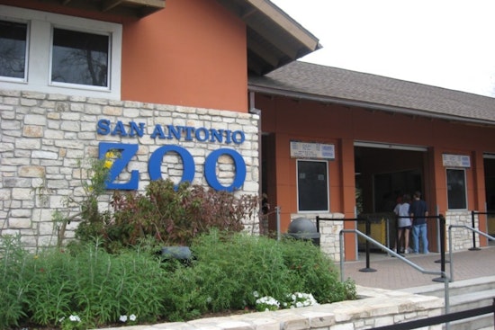 San Antonio Zoo Dinos After Dark Sparks Crowd Complaints