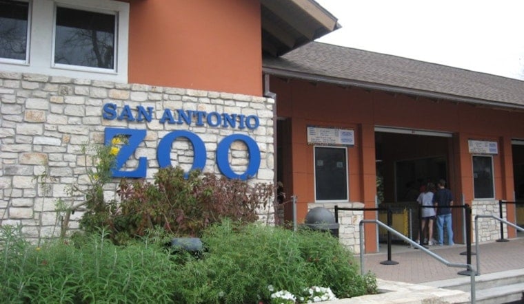 San Antonio Zoo Dinos After Dark Sparks Crowd Complaints