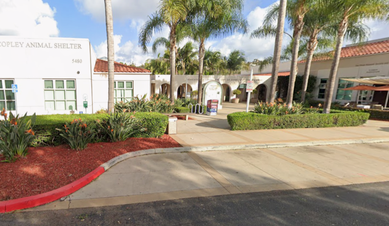San Diego Shelters Waive All Adoption Fees Saturday as 750-Plus Pets Wait