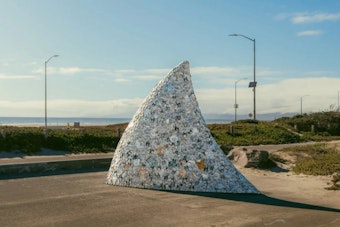 San Francisco’s Golden Gate Park Gets 11-Foot ‘Trash Shark’ Fin After Beach Cleanup
