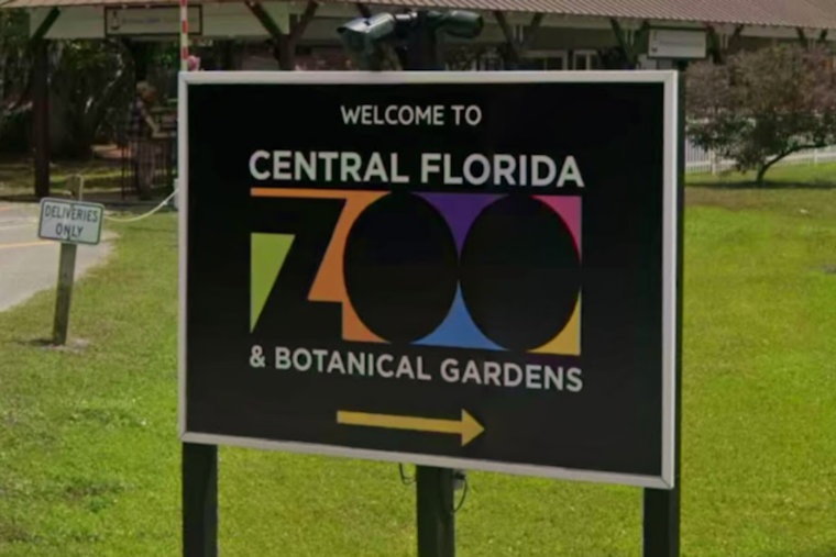 Sanford Zoo Marks 250 Years of America With Indigo Snakes and Brisket