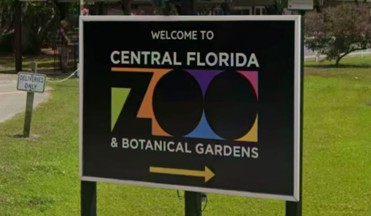 Sanford Zoo Marks 250 Years of America With Indigo Snakes and Brisket