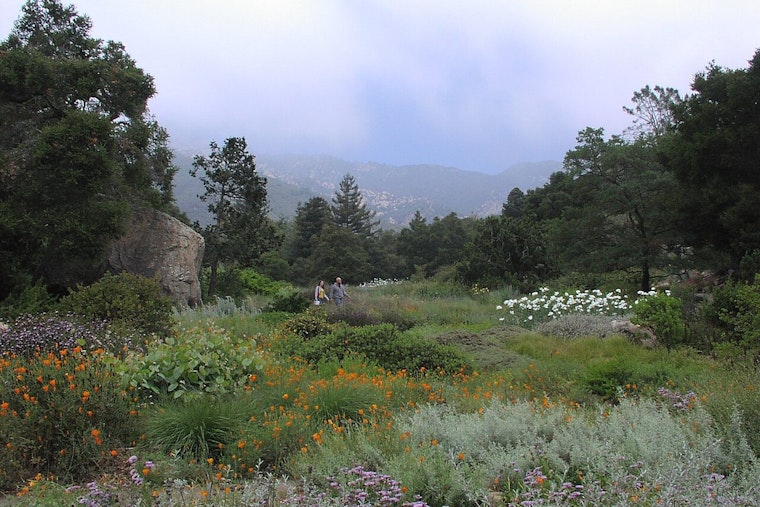 Santa Barbara Botanic Garden Turns 100, Opens Gates Free Every October Sunday
