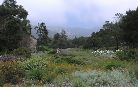 Santa Barbara Botanic Garden Turns 100, Opens Gates Free Every October Sunday