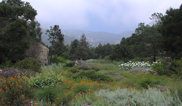 Santa Barbara Botanic Garden Turns 100, Opens Gates Free Every October Sunday