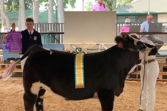 Santa Clara County Fair Returns to San Jose This Week, and It's the 82nd Edition
