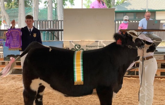 Santa Clara County Fair Returns to San Jose This Week, and It's the 82nd Edition