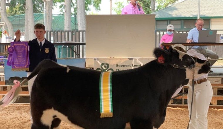 Santa Clara County Fair Returns to San Jose This Week, and It's the 82nd Edition
