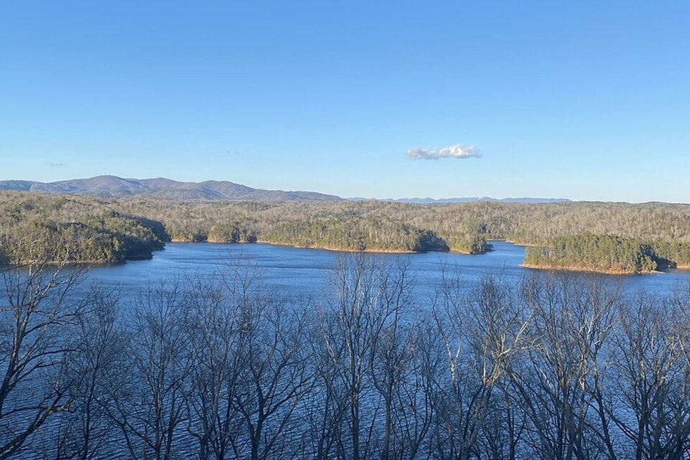 Search Intensifies For Missing Man Who Sheltered Under Carters Lake Dock