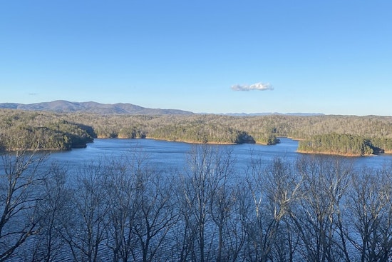 Search Intensifies For Missing Man Who Sheltered Under Carters Lake Dock