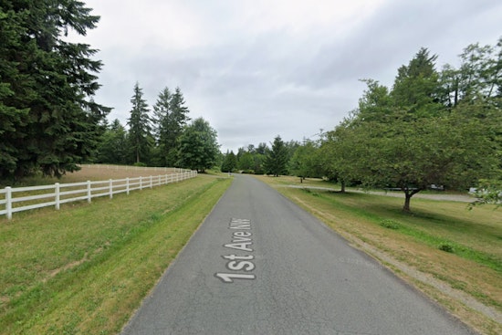 Seattle Woman, 43, Accused of Running Over Boyfriend Twice Near Marysville