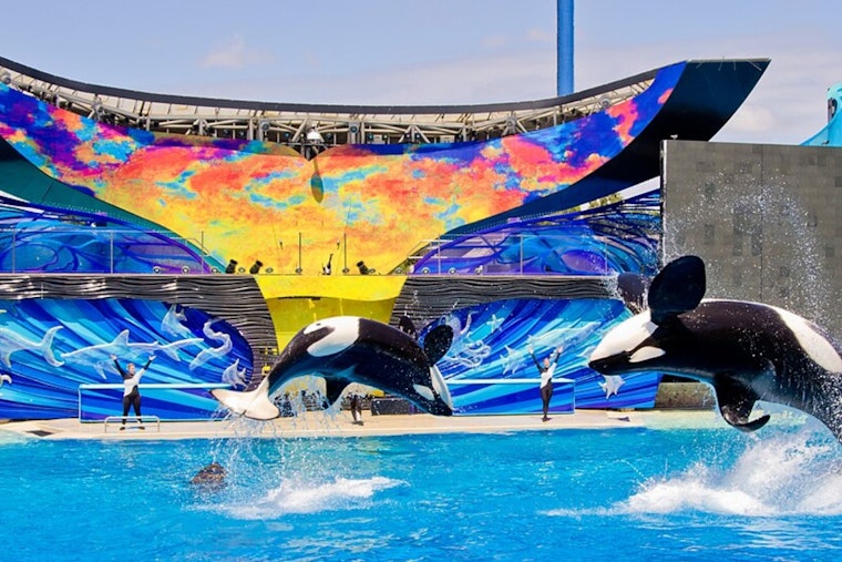 SeaWorld San Diego Hides Cash and Free Passes Across the City Through September