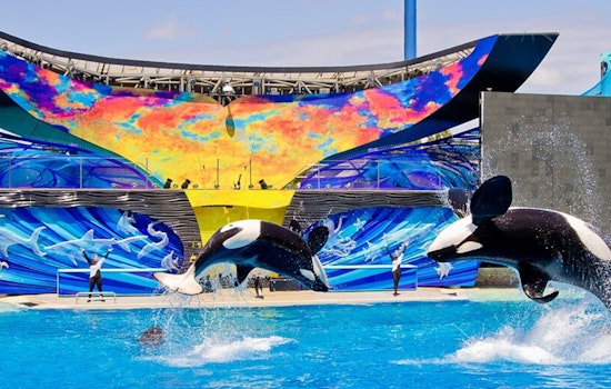 SeaWorld San Diego Hides Cash and Free Passes Across the City Through September