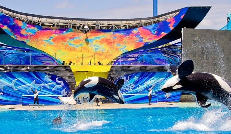 SeaWorld San Diego Hides Cash and Free Passes Across the City Through September
