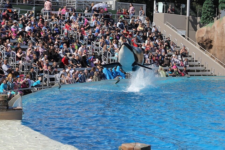 SeaWorld San Diego's Throwback Rap Concerts Are Quietly Saving Its Summer