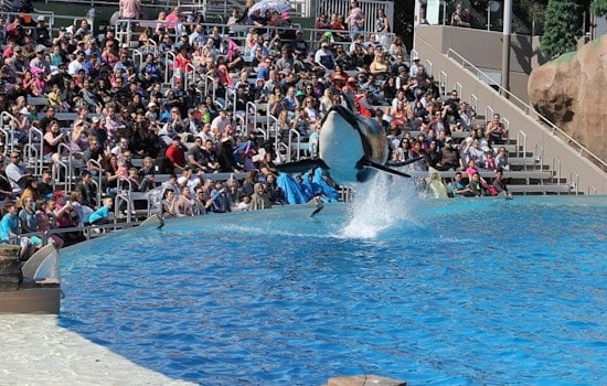 SeaWorld San Diego's Throwback Rap Concerts Are Quietly Saving Its Summer