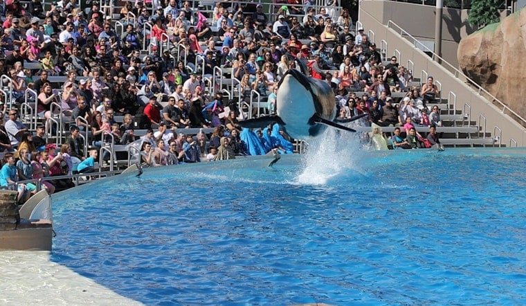 SeaWorld San Diego's Throwback Rap Concerts Are Quietly Saving Its Summer