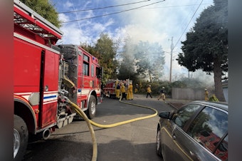 Second-Alarm Brush Fire Erupts Along Westbound I-84 in Portland