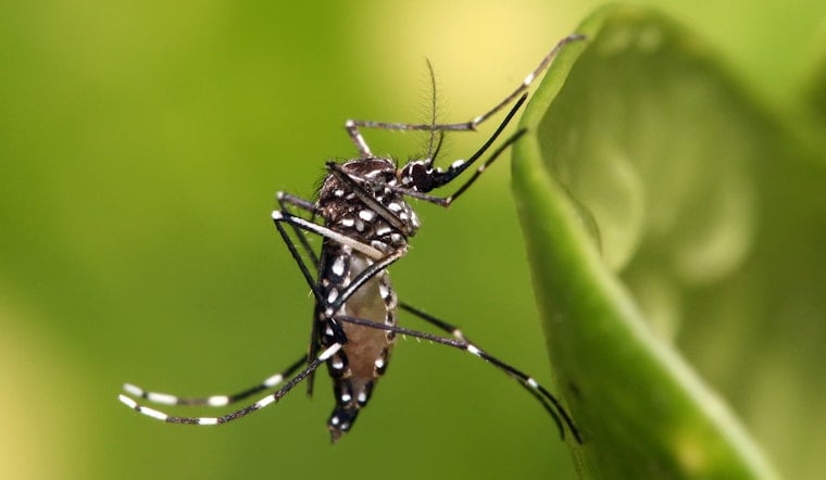 Second West Nile Case Hits Massachusetts as Seven Cities Go High-Risk