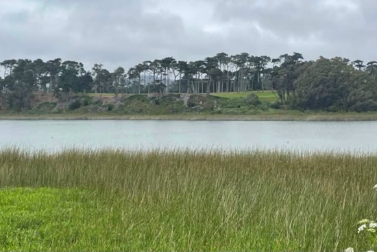 SF Seeks Operator To Revive 9.5-Acre Lake Merced Shoreline After Decade Shut Off