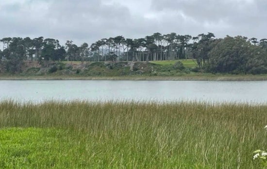 SF Seeks Operator To Revive 9.5-Acre Lake Merced Shoreline After Decade Shut Off