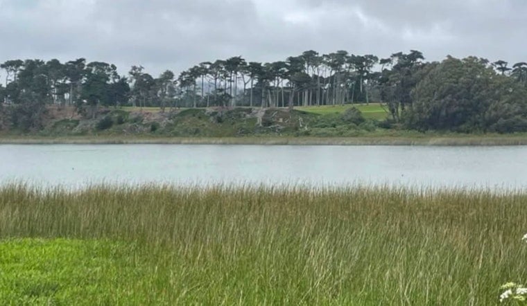 SF Seeks Operator To Revive 9.5-Acre Lake Merced Shoreline After Decade Shut Off