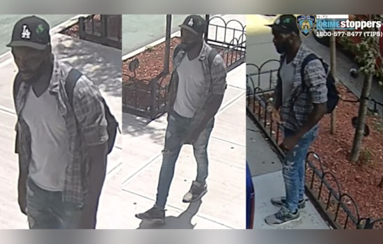 Shampoo Swipe: Thug Beats Brooklyn Senior in Bizarre Gowanus Mugging