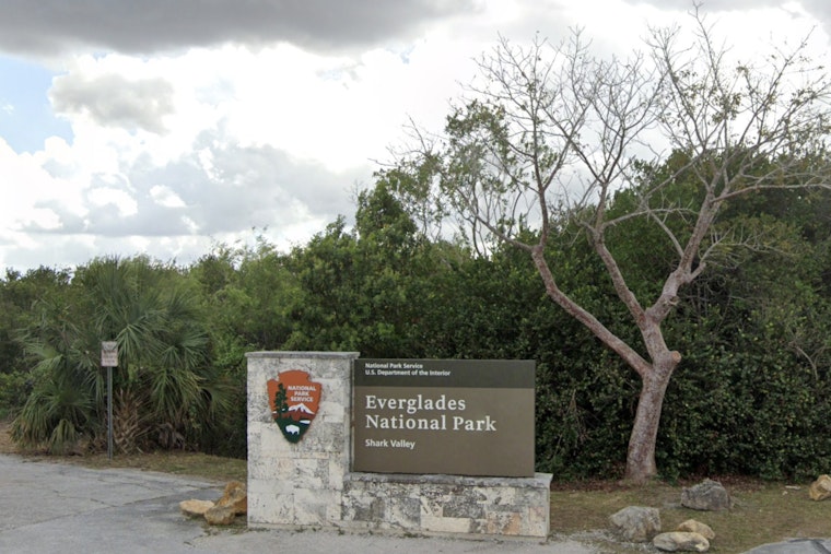Shark Valley Shuttered as 11,000-Acre Chipmunk Fire Rages in Everglades