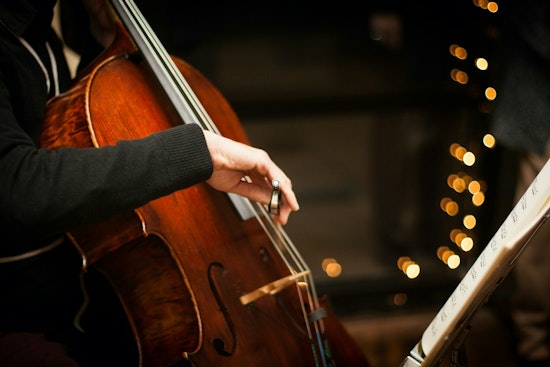 Shock Strings: Electric Cello Star Shannon Hayden Juices up Del Mar Foundation Talk