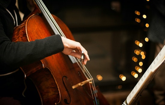 Shock Strings: Electric Cello Star Shannon Hayden Juices up Del Mar Foundation Talk