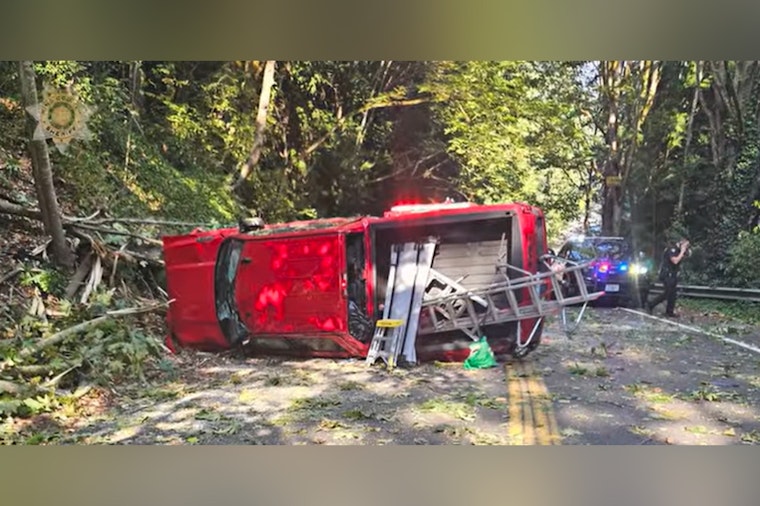 Shoreline Crash Suspect Ditches Gun in Bushes, K-9 Marley Sniffs It Out