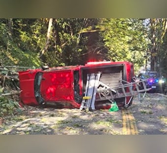 Shoreline Crash Suspect Ditches Gun in Bushes, K-9 Marley Sniffs It Out