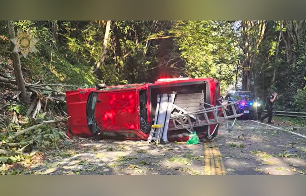 Shoreline Crash Suspect Ditches Gun in Bushes, K-9 Marley Sniffs It Out