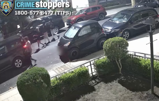 Six-Man Crew Pistol-Whips Marine Park Man, 66, Steals His Toyota Sienna