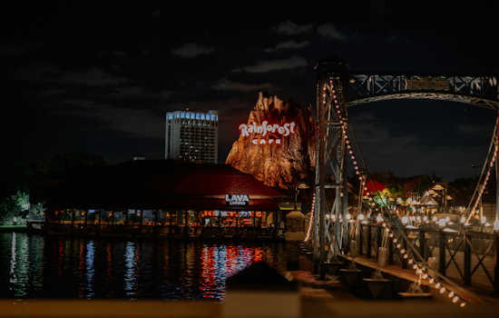 Six Ravens Takes Flight at Disney Springs With Medieval ‘Coffyn’ Sandwiches