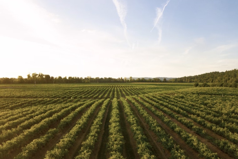 Skagit Valley Farmers Fight AI Data Centers Over Scarce Water and Land