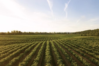 Skagit Valley Farmers Fight AI Data Centers Over Scarce Water and Land