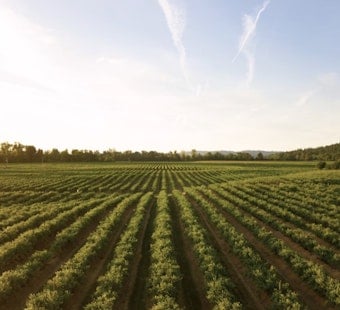 Skagit Valley Farmers Fight AI Data Centers Over Scarce Water and Land