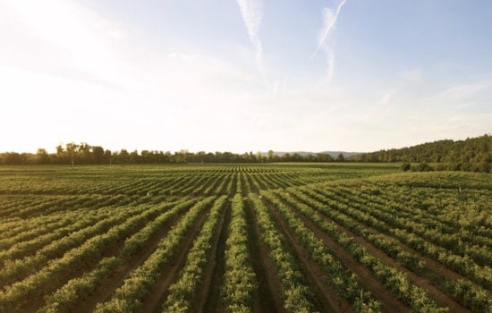Skagit Valley Farmers Fight AI Data Centers Over Scarce Water and Land