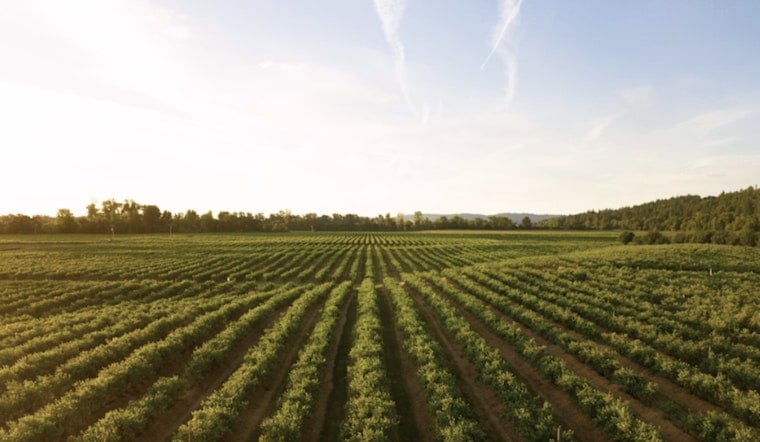 Skagit Valley Farmers Fight AI Data Centers Over Scarce Water and Land
