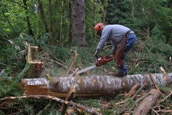 Skamania County Loggers Return to Gifford Pinchot Forest, Hope for a Turnaround