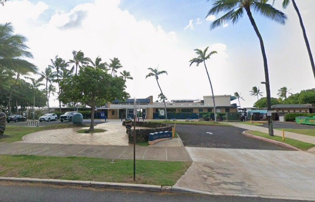 Slack Key Legends Take Over Waikīkī Aquarium Lawn for 44th Annual Festival