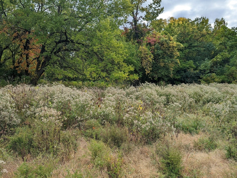 Cook County Forest Preserve Workers Strike as Pay Fight Boils Over