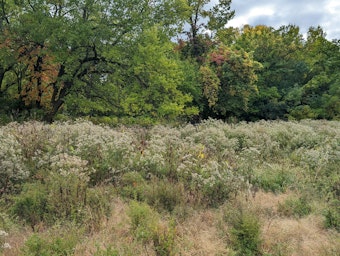 Cook County Forest Preserve Workers Strike as Pay Fight Boils Over