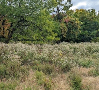 Cook County Forest Preserve Workers Strike as Pay Fight Boils Over