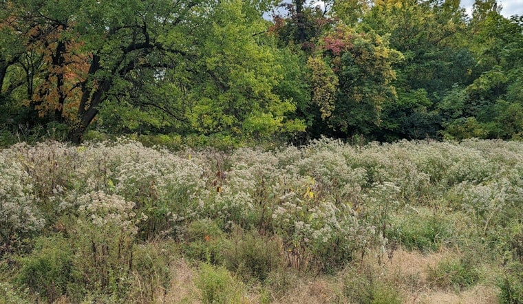 Cook County Forest Preserve Workers Strike as Pay Fight Boils Over