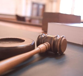 Somers Woman Faces 18 Charges After Dogs, Cats Found Eating Feces in Squalor
